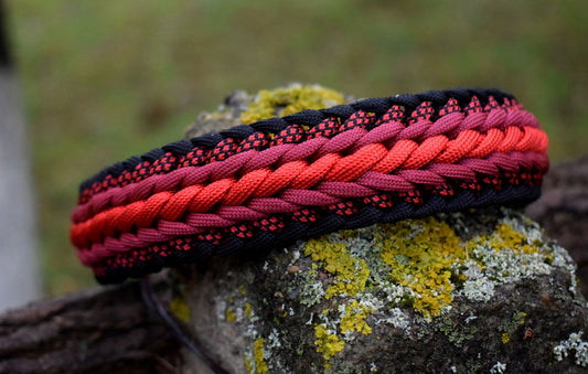 Seven Braid Dog collar