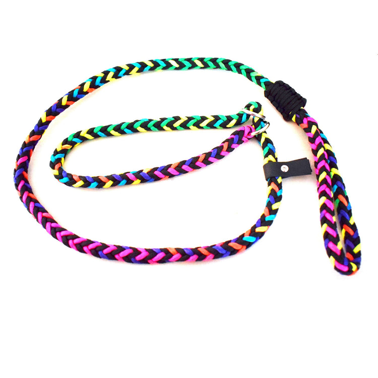 Simple Rainbow Dog Loop Leash