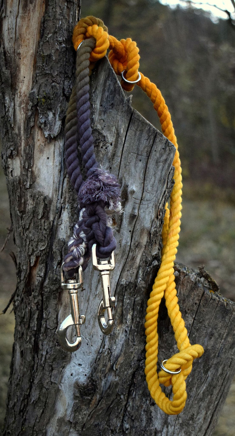 Autumn Dip Dye Adjustable Cotton leash