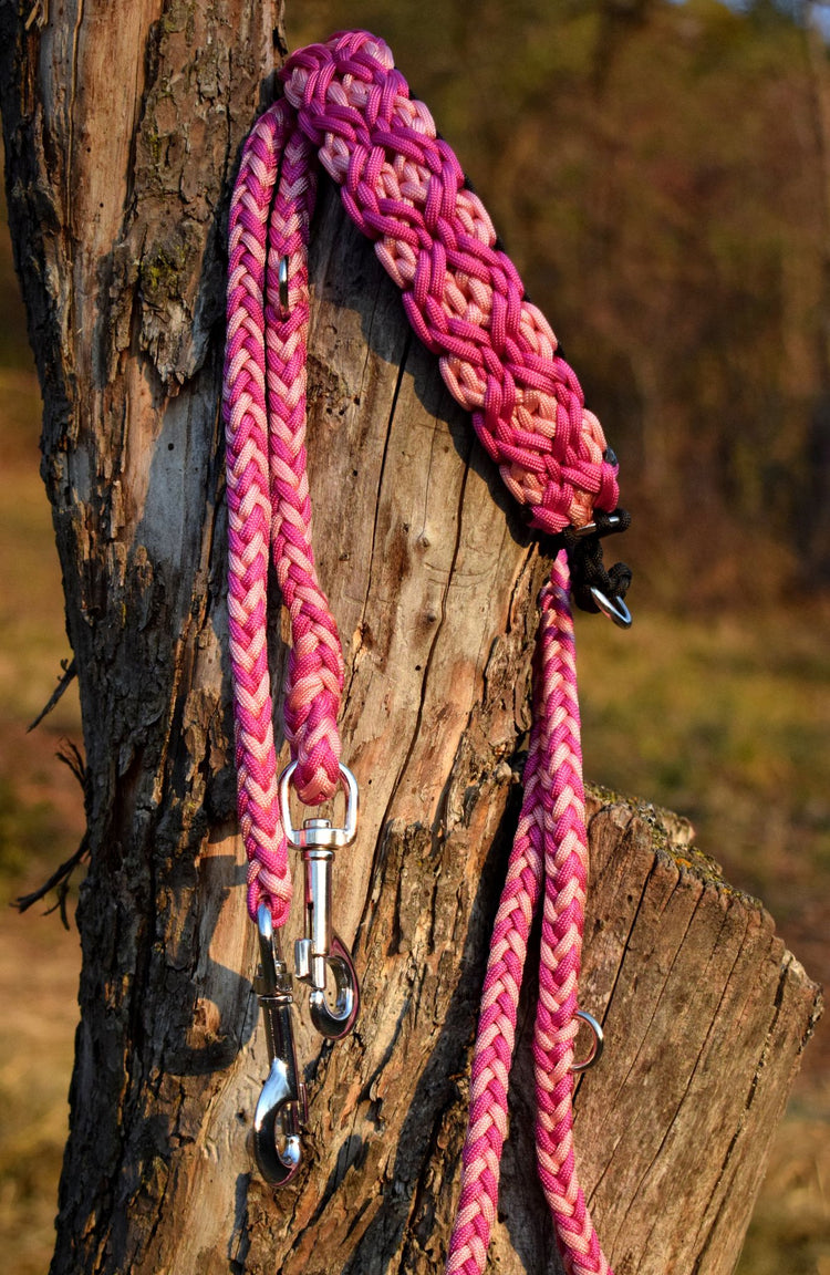 Rubin braid Dog collar