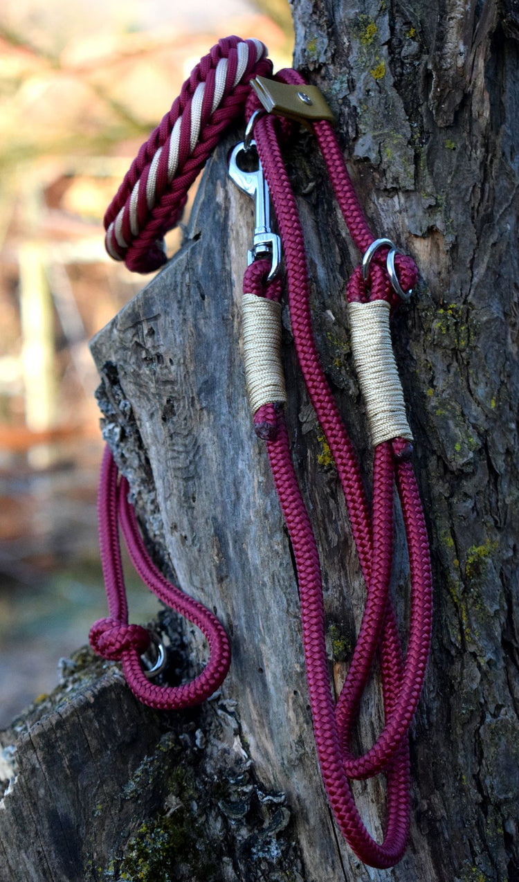 Bordoux and Gold Dog Loop Leash