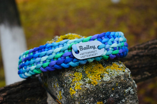 Summer Braid Dog Collar