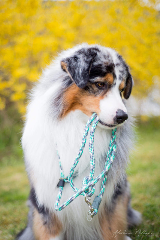 Mint camo Dog Loop Leash