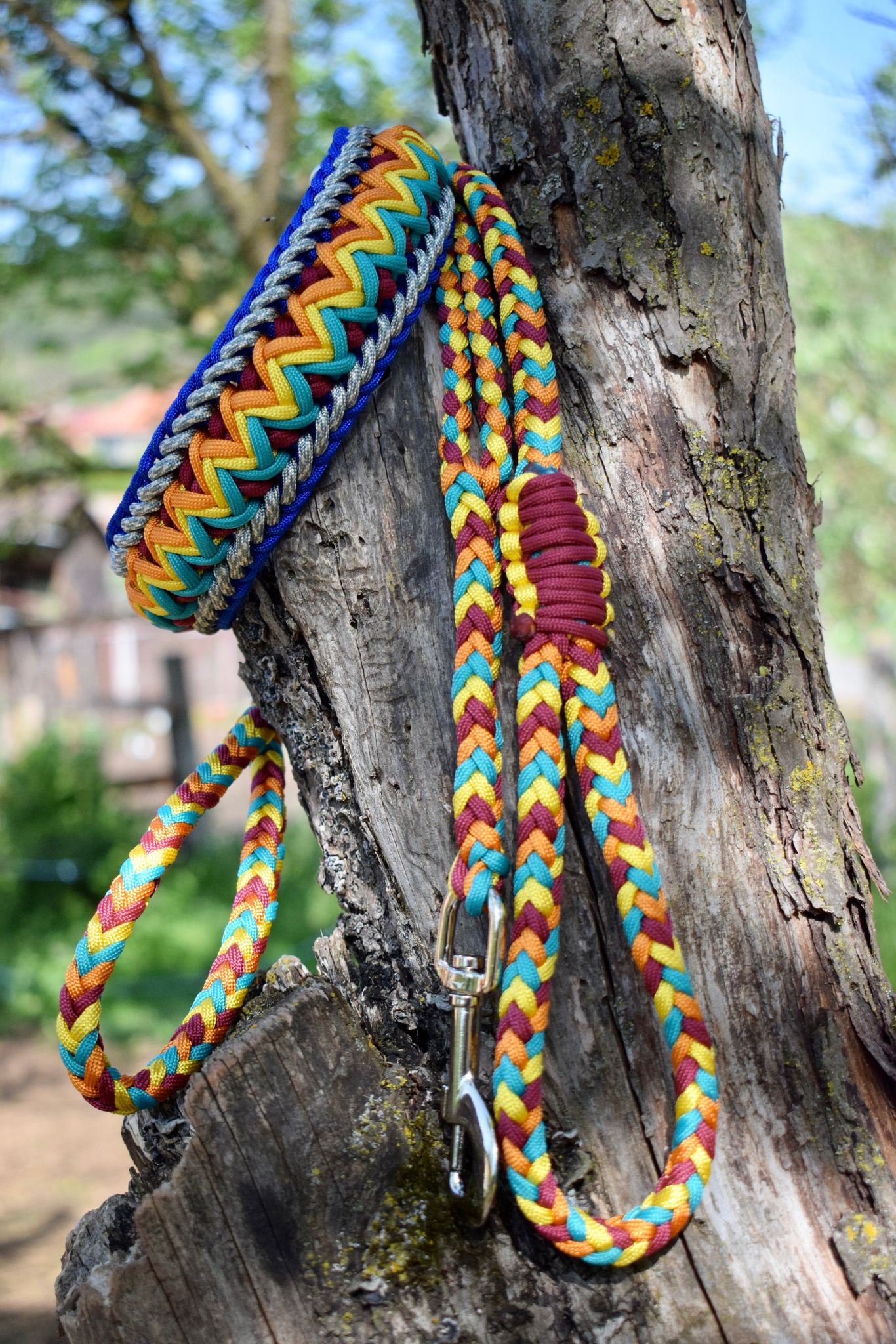 The Indian Braid Dog collar – Paracord for Pets Store