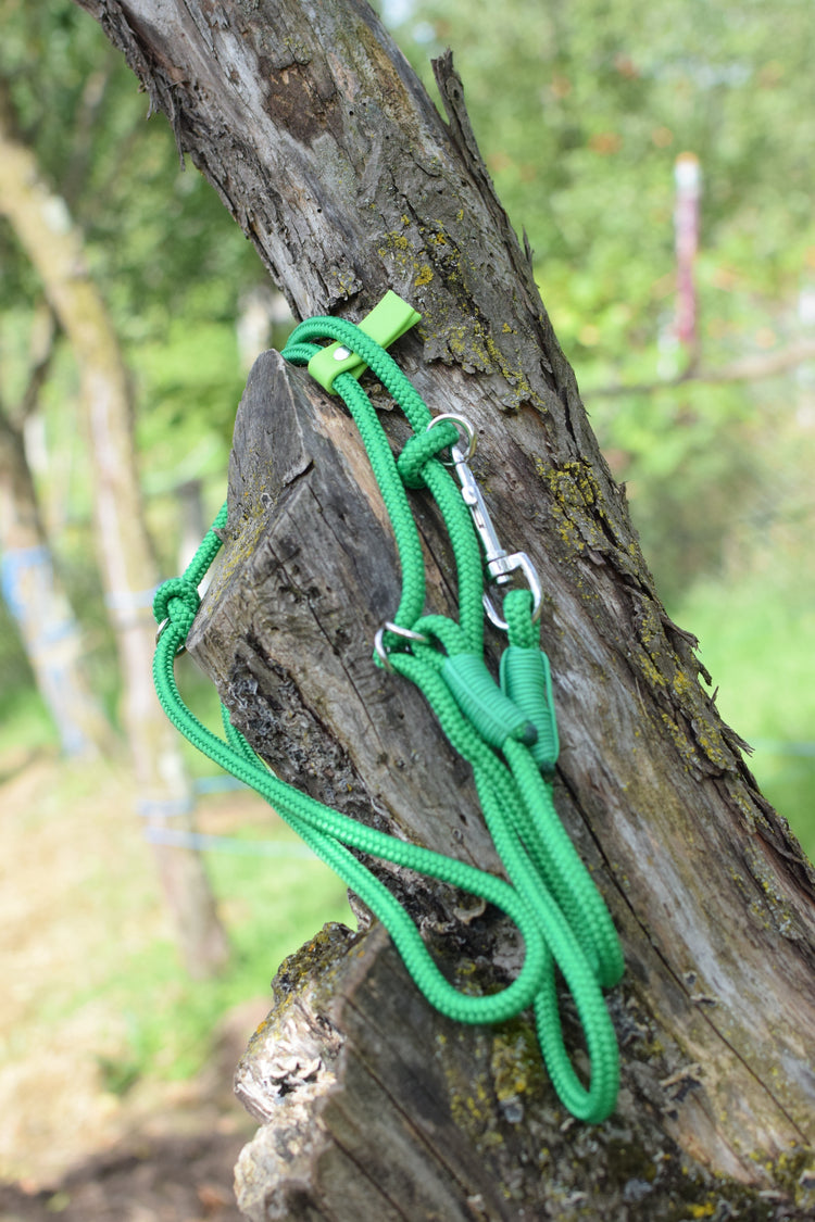 Emerald Green Dog Loop Leash