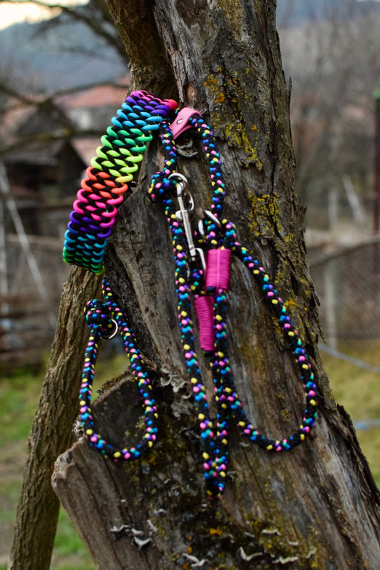 Disco M Dog set: collar and leash