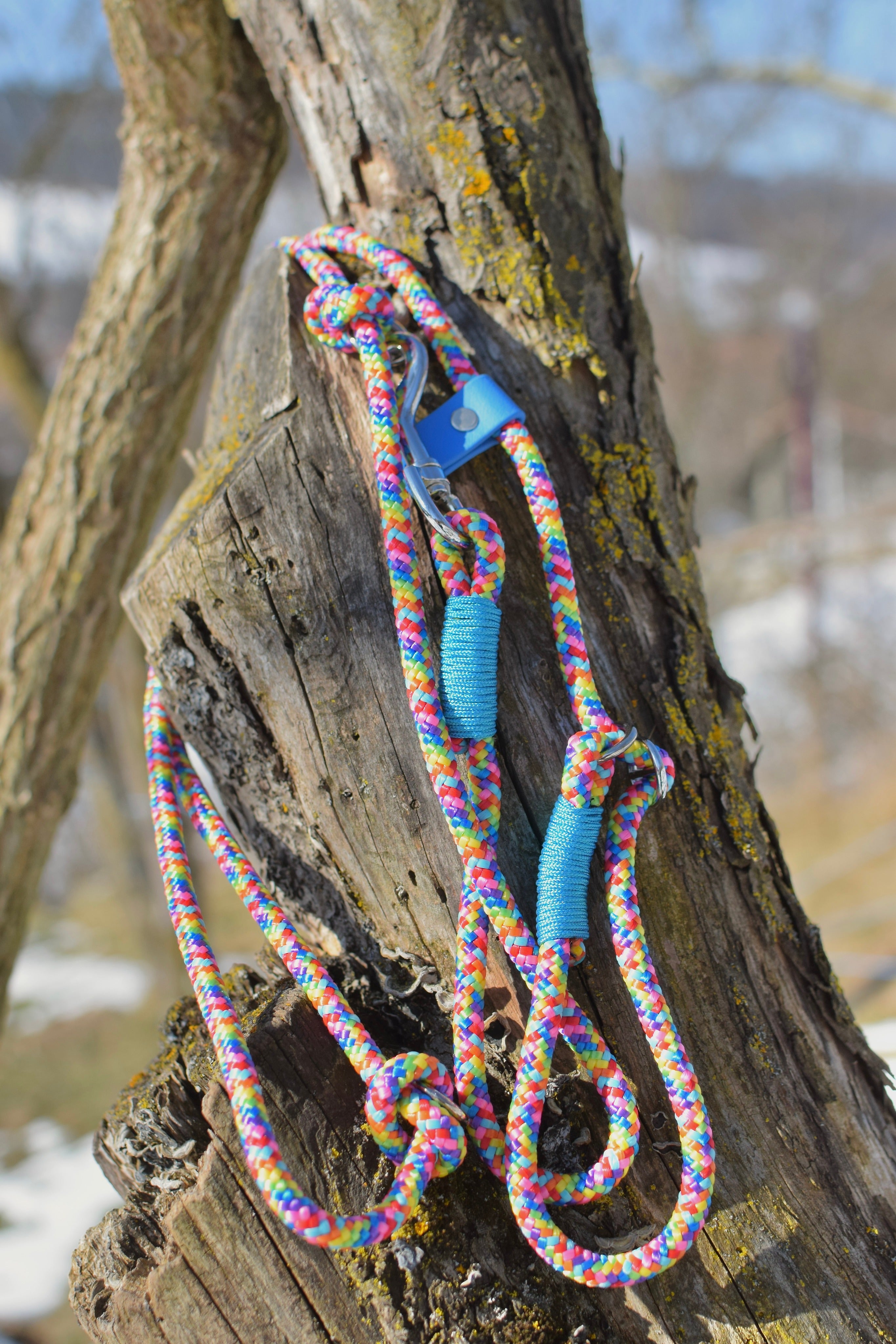 Aqua Dog Loop Leash | Handmade Accessories | Paracord for Pets ...