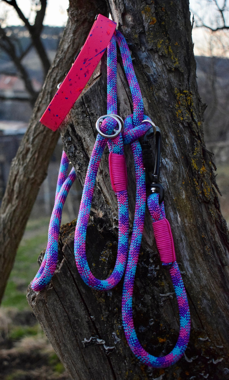 Purplelicious SPLASH Dog Set: collar and leash