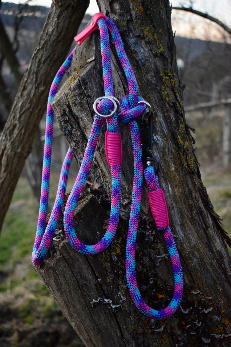 Purplelicious Dog Loop Leash