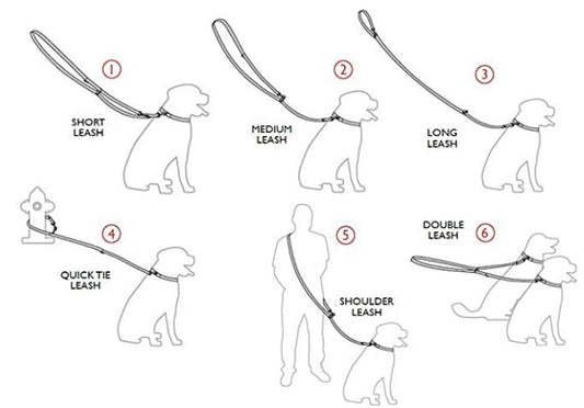 Adjustable Egypt Dog Leash