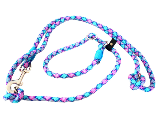 lesa caine rezistenta, lesa dresaj 