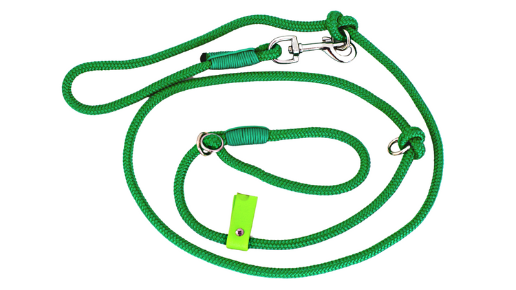 Emerald Green Dog Loop Leash